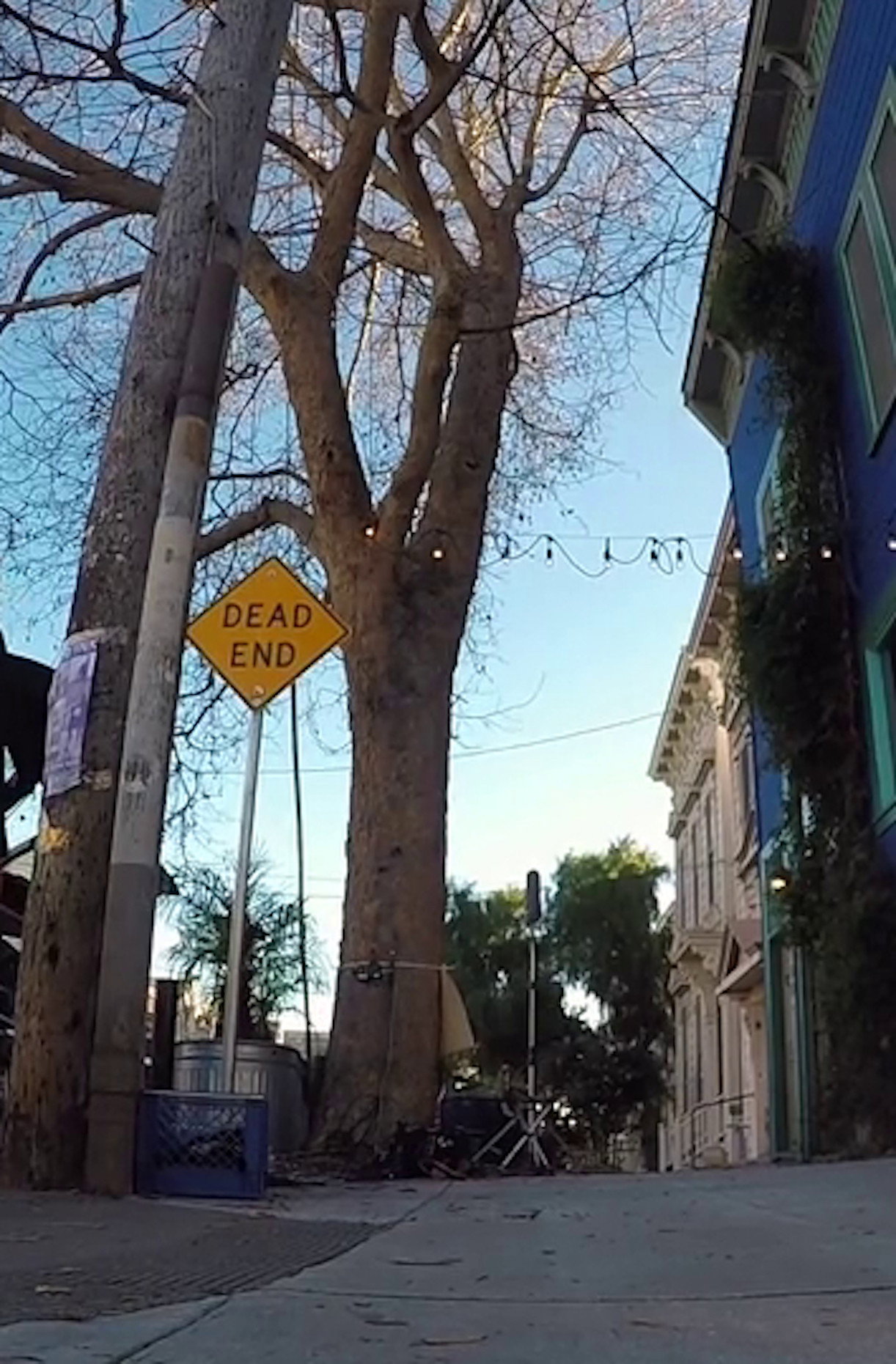 Tree Listening Test