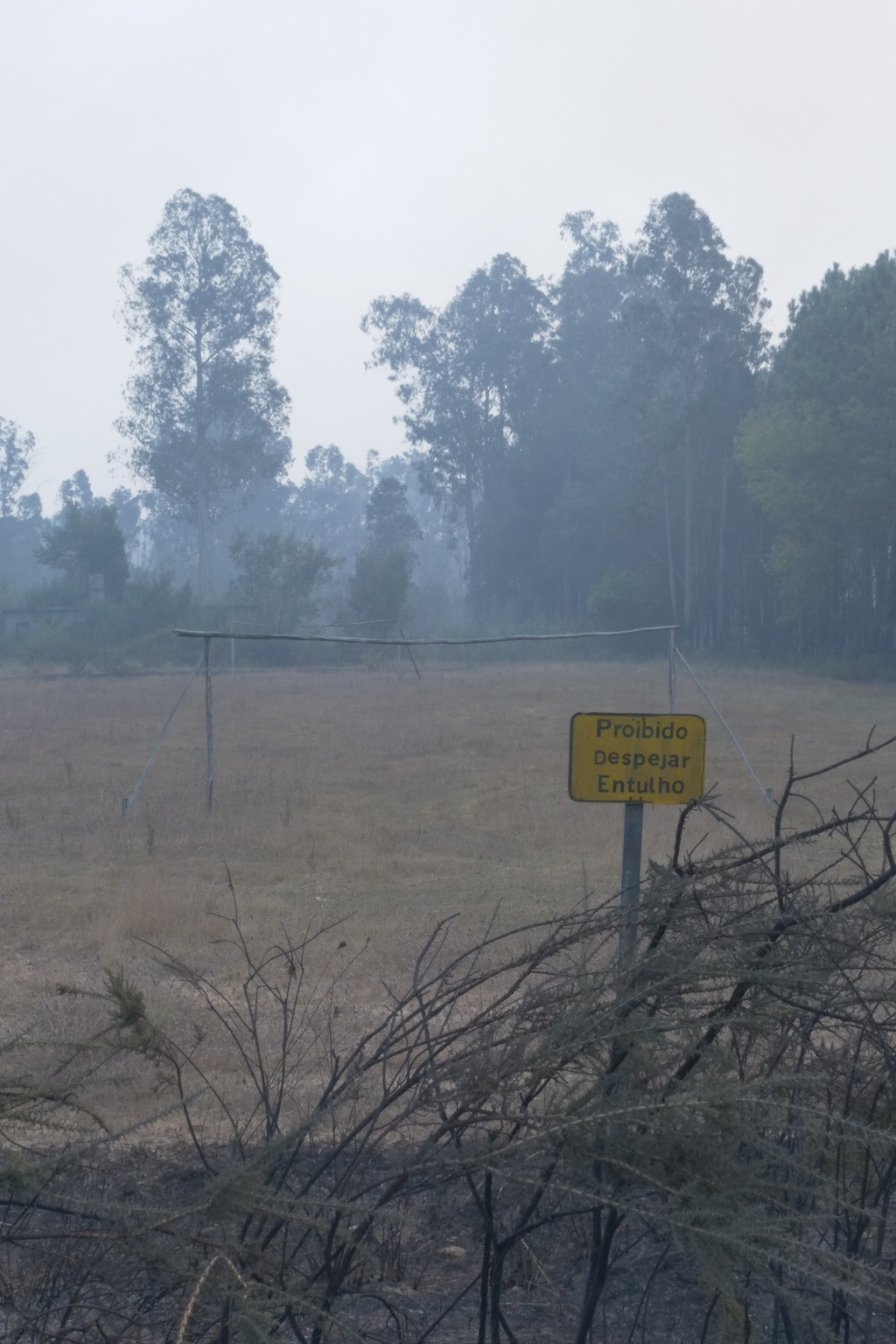 O Que Farei Quando Tudo Arde