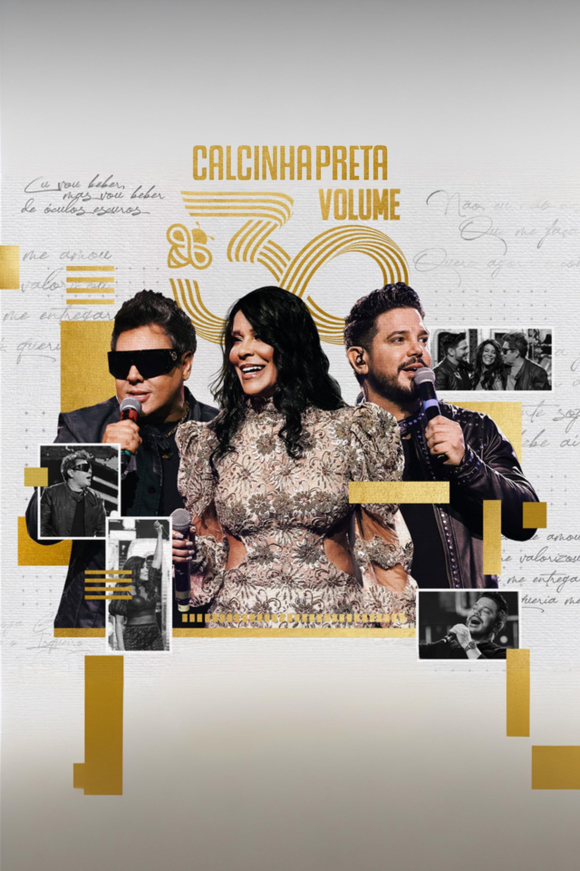 Calcinha Preta - Volume 30
