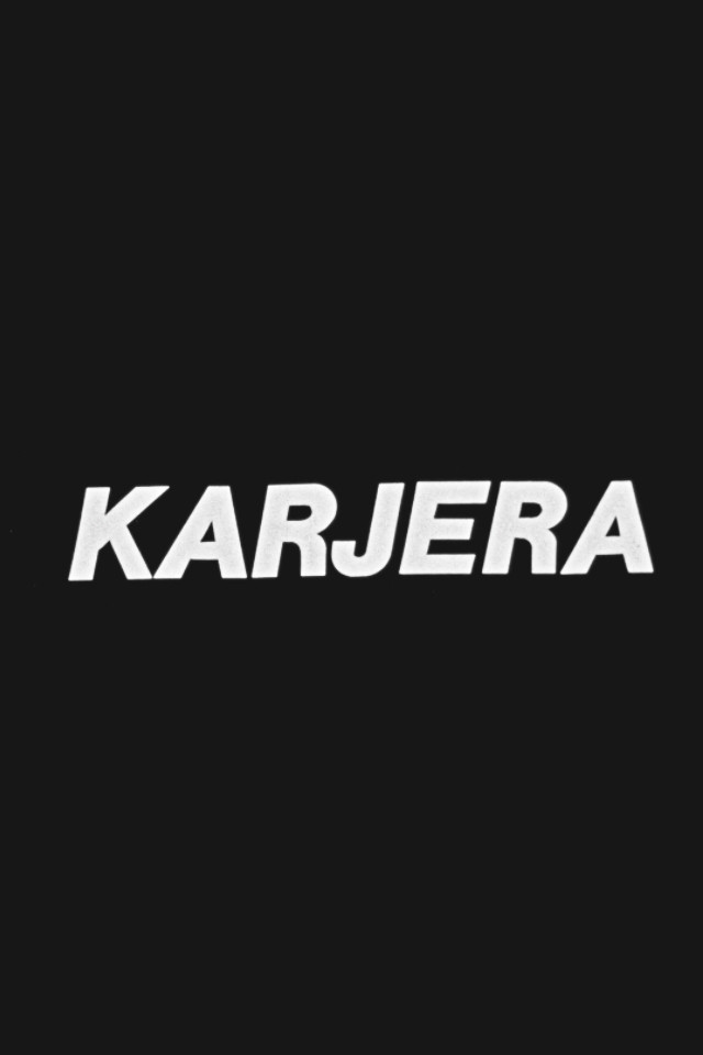 Karjera