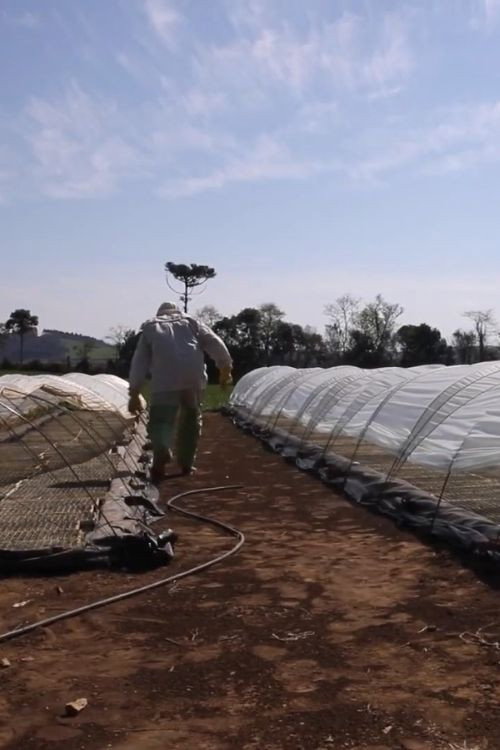 Travessias em Busca da Agroecologia