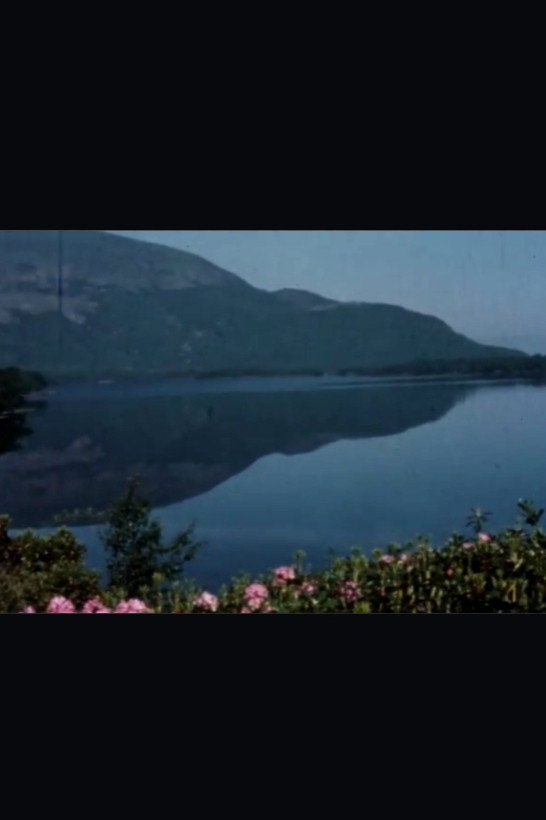 Return to Kerry