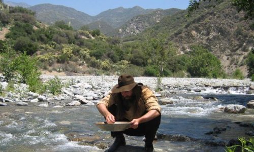 The Prospector