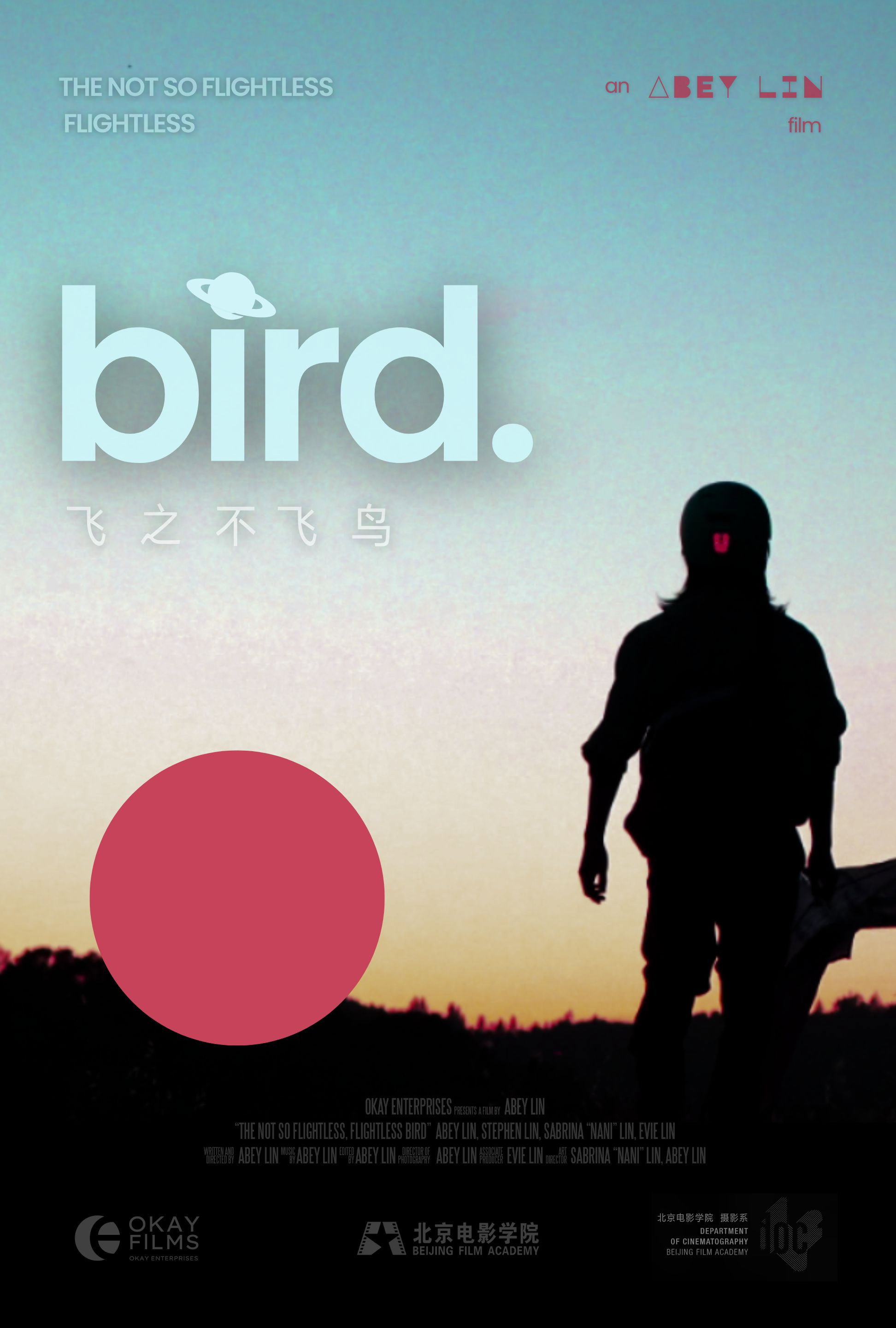 The Not So Flightless, Flightless Bird