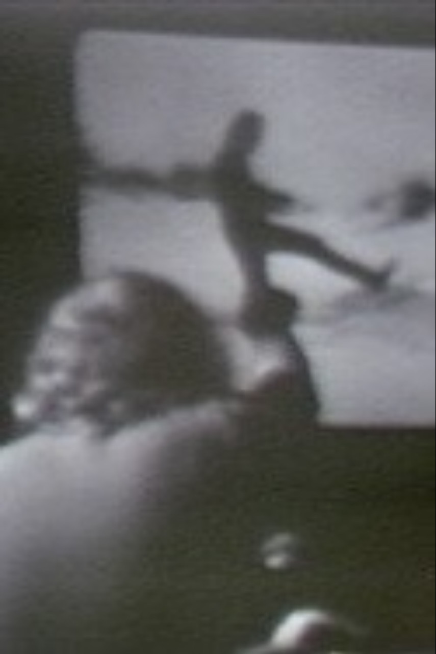 Home Movies