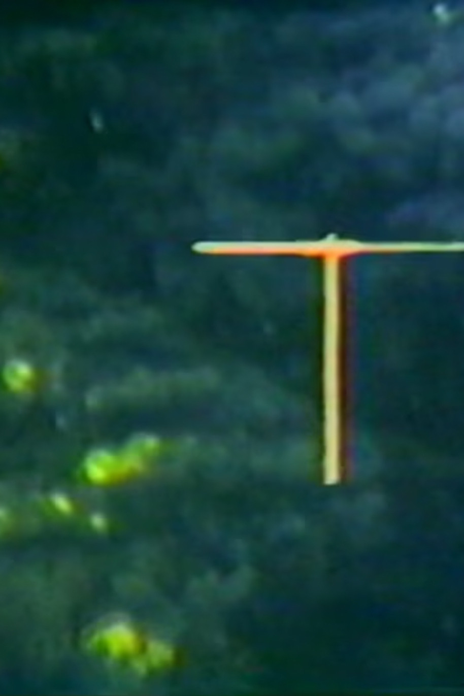 Mobius Film Loop Propellers
