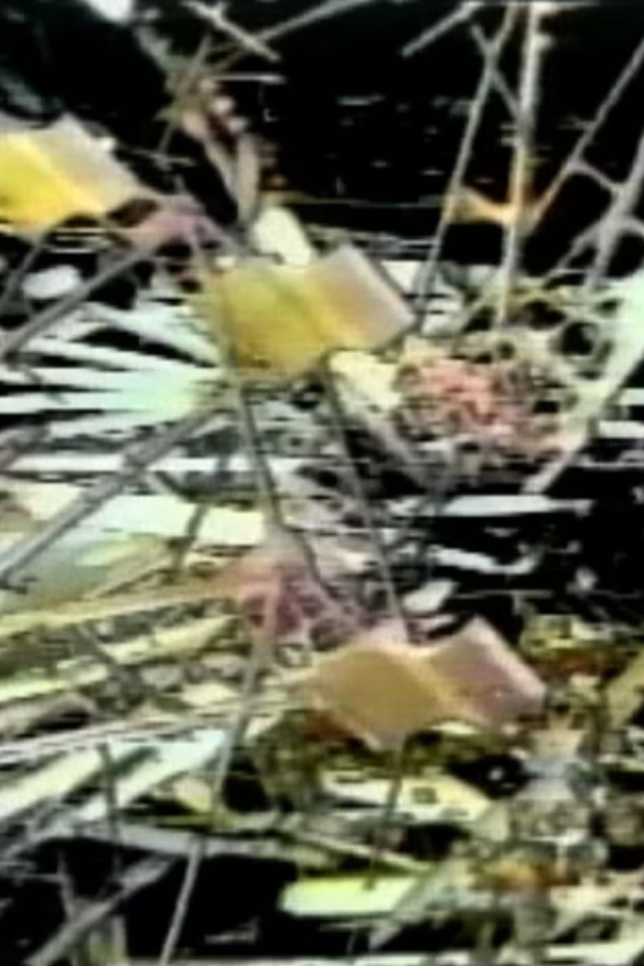 Transfinite Loops
