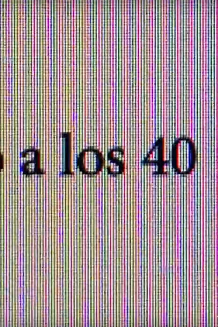 Canguro a los 40