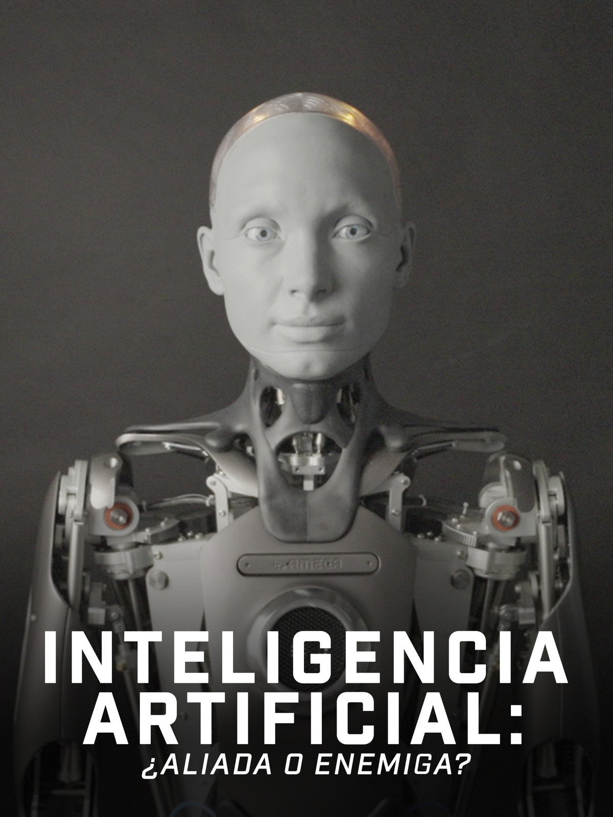 AI & You