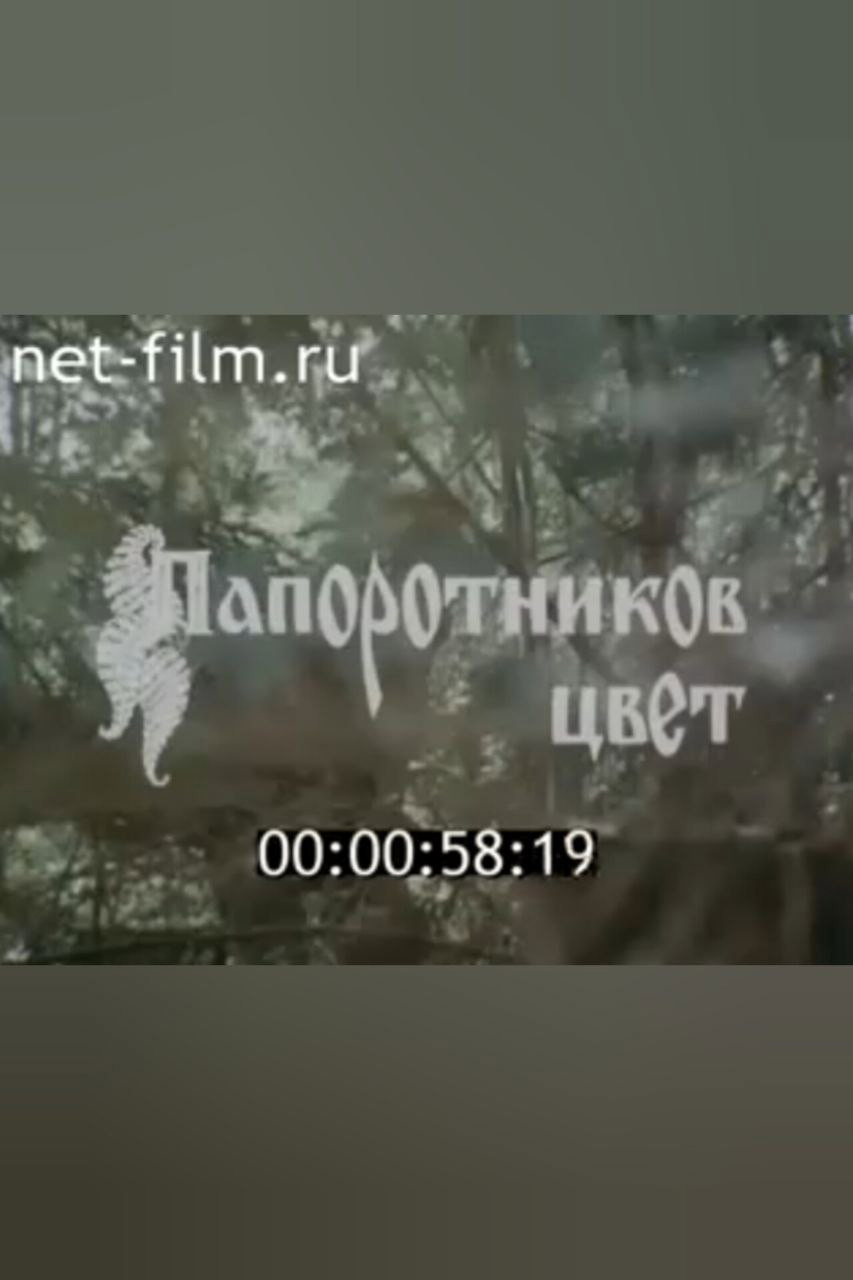 Папоротников цвет