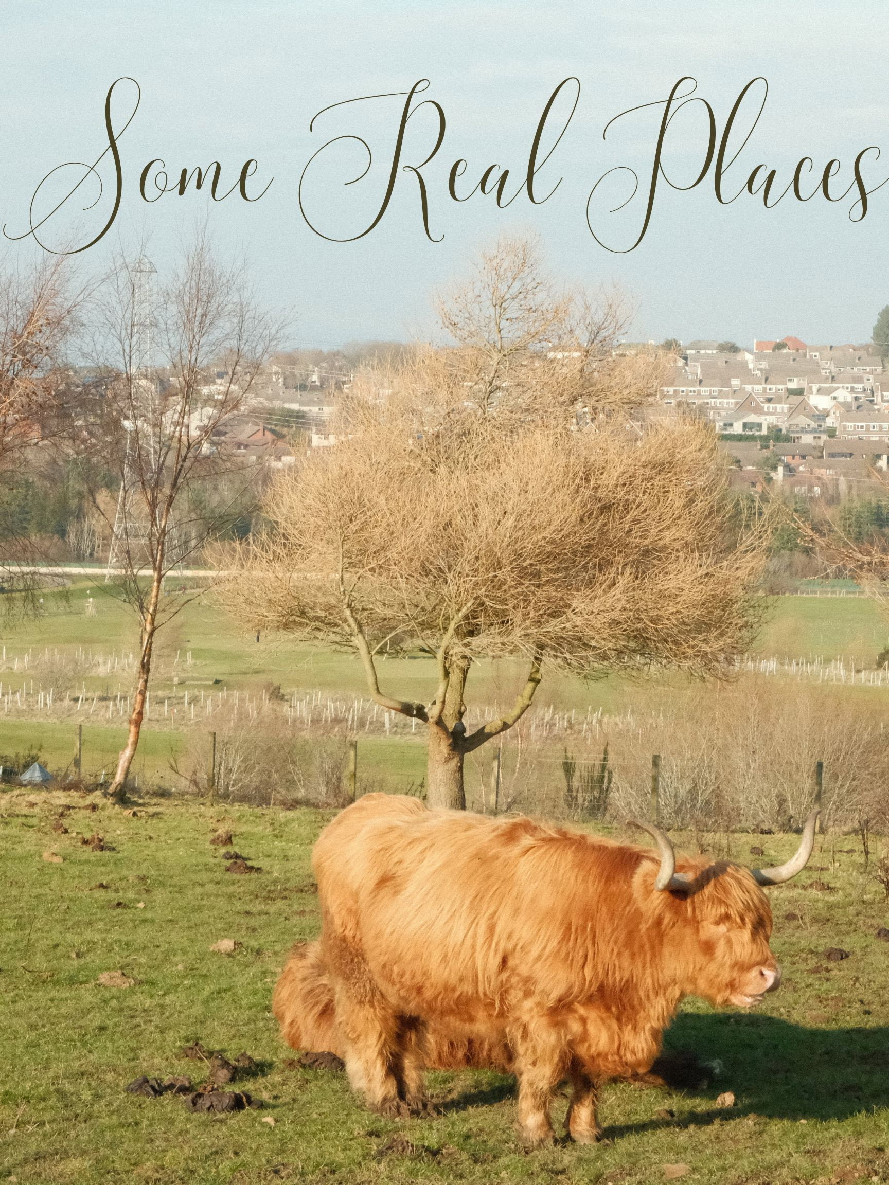 Some Real Places