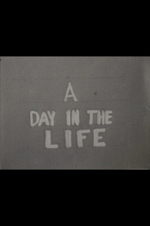 A day in the life