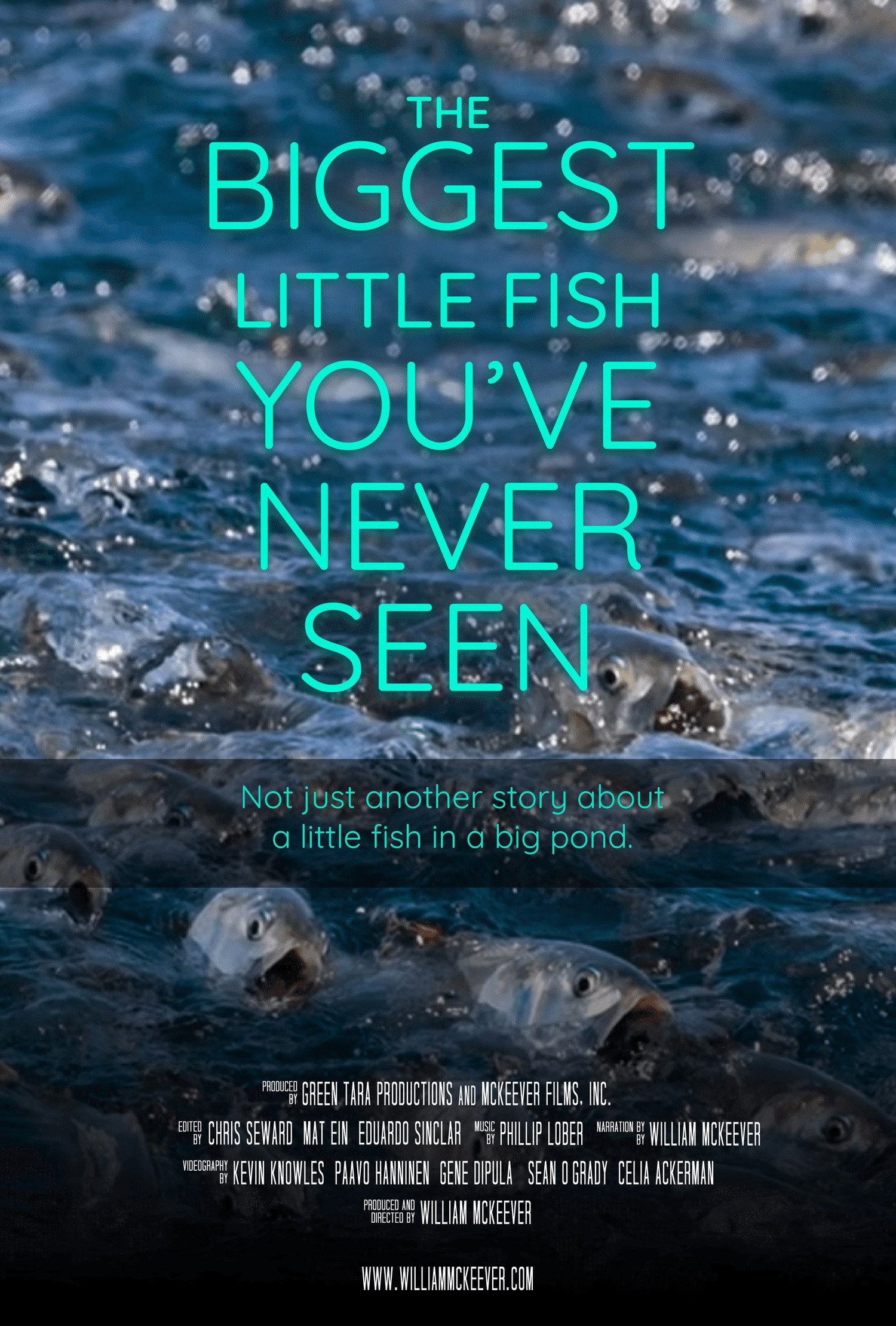 The Biggest Little Fish You've Never Seen
