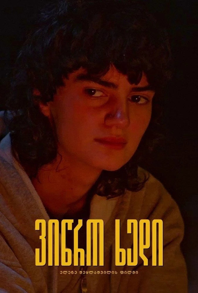 ვიწრო ხედი