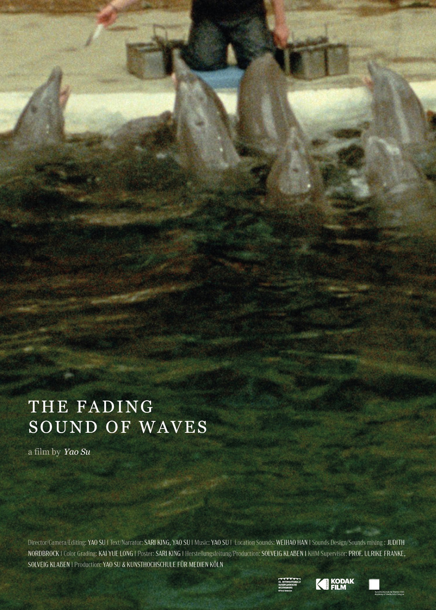 The Fading Sound of Waves