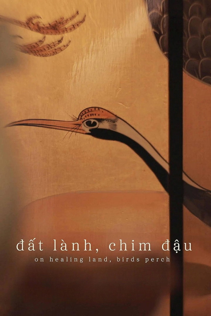 On Healing Land, Birds Perch