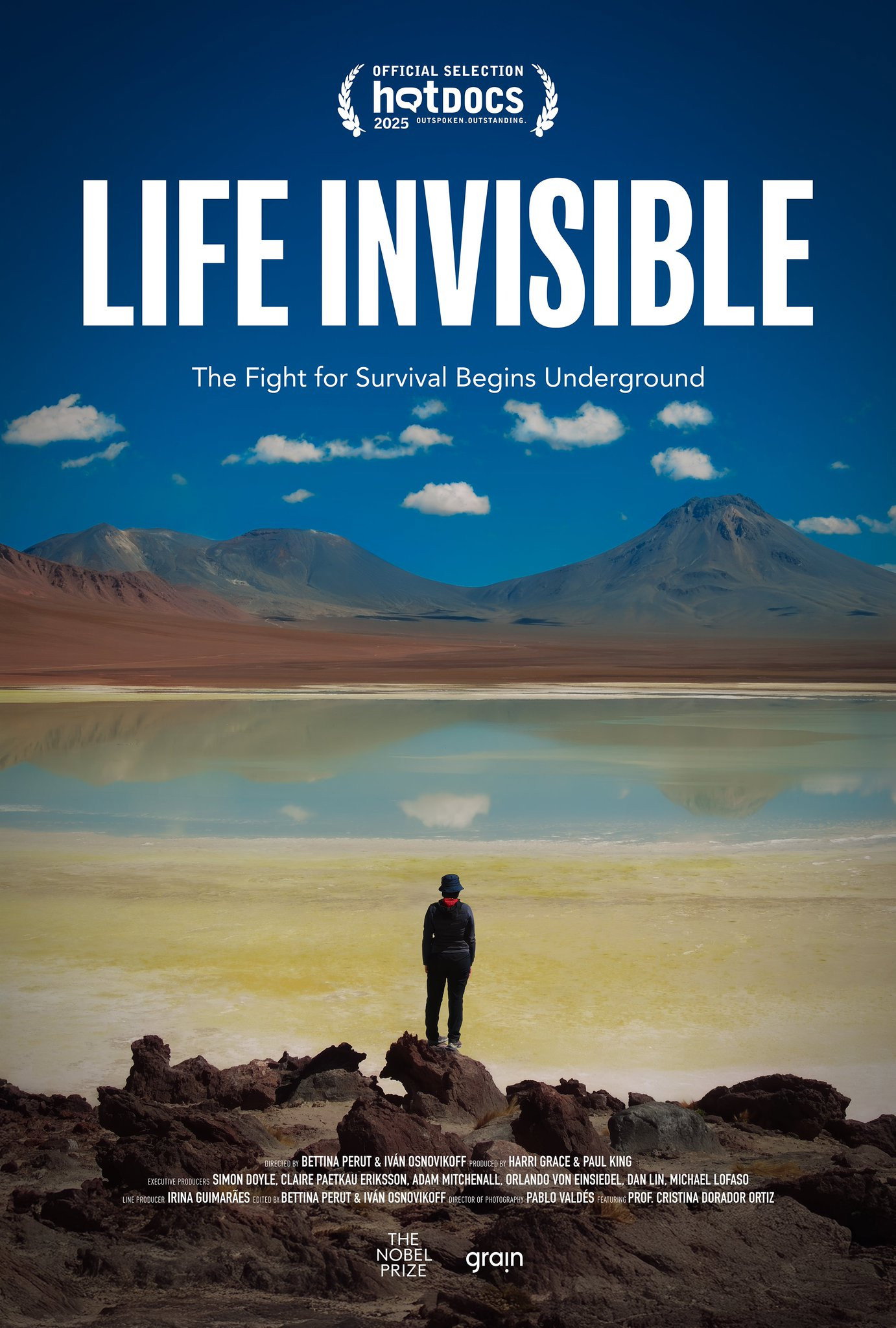 Vida invisible