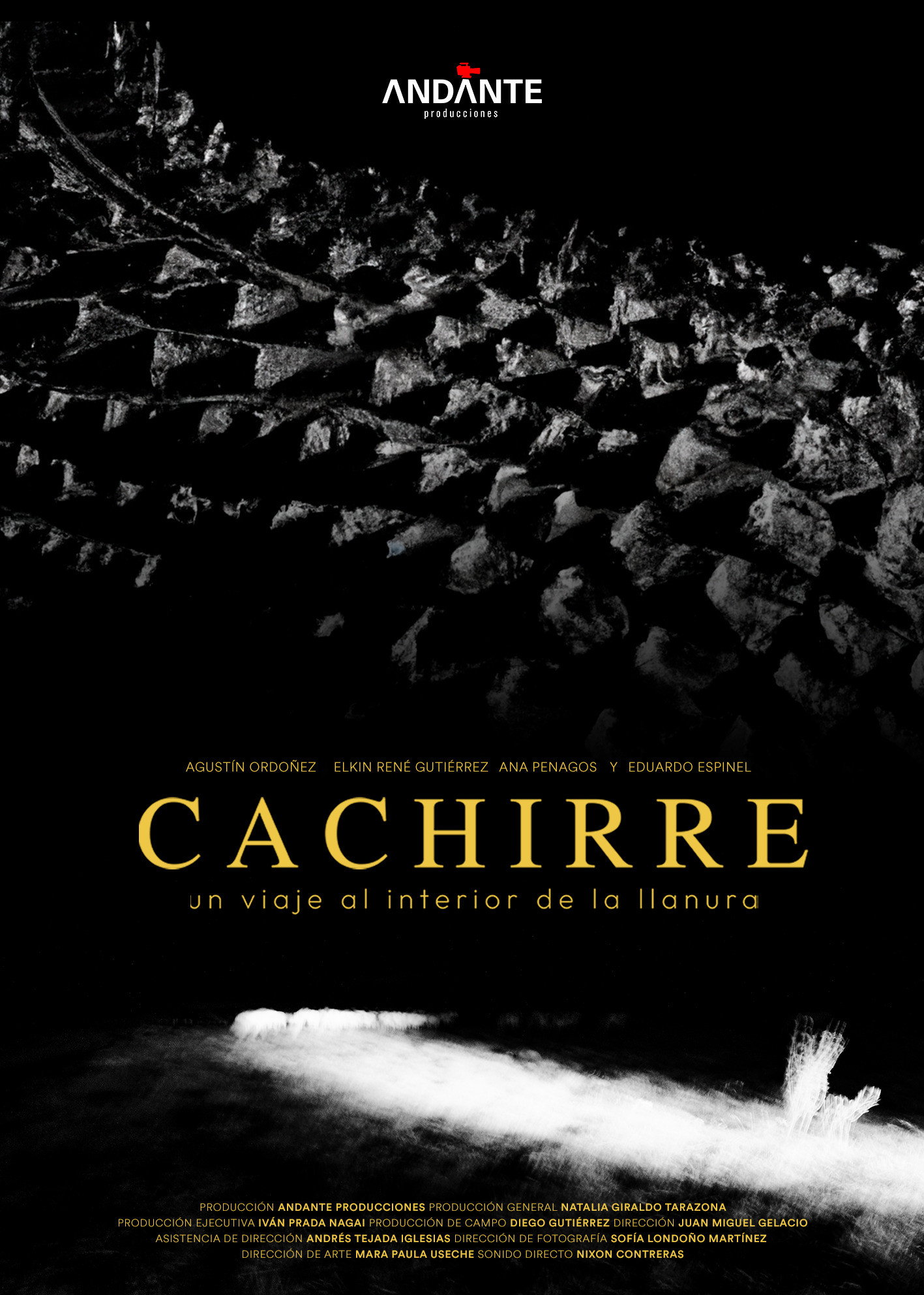 Cachirre