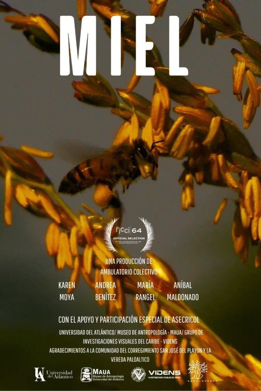Miel