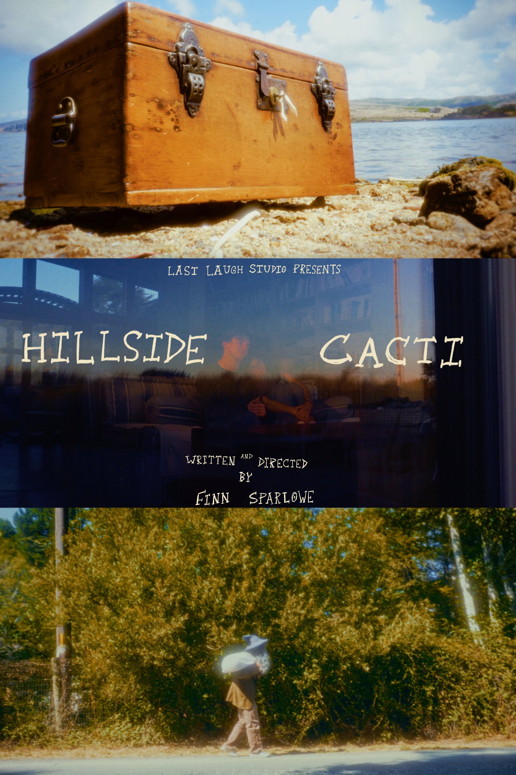 Hillside Cacti