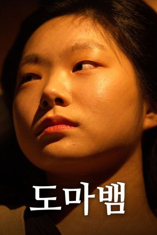 도마뱀
