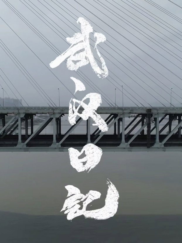 武汉日记