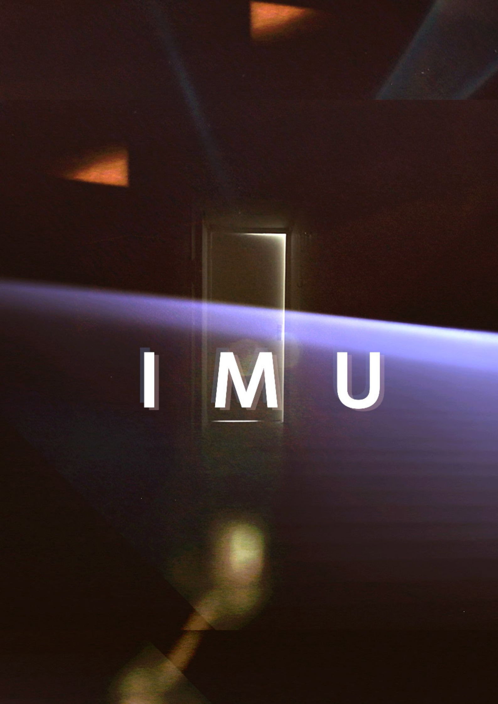 I M U