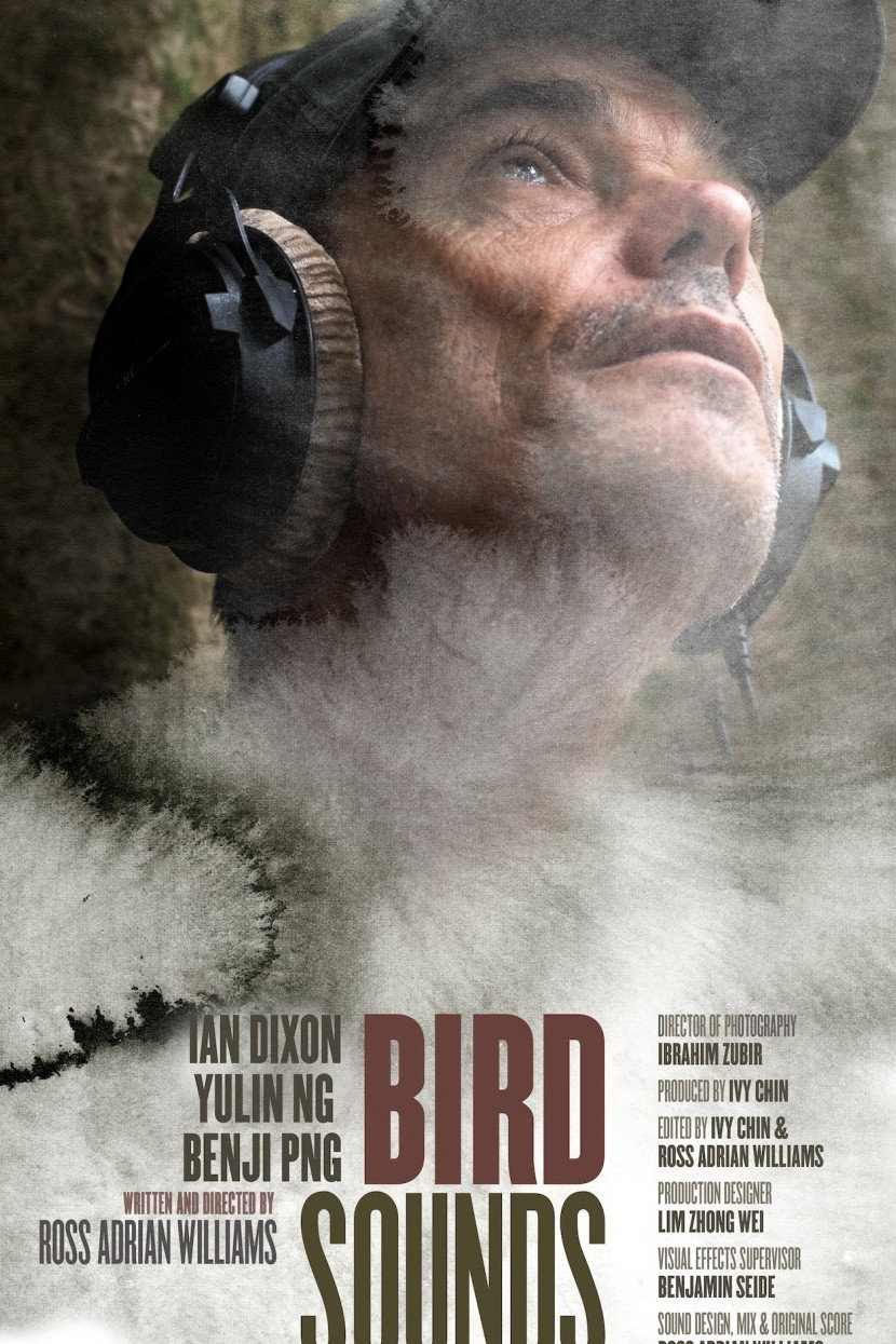 Bird Sounds