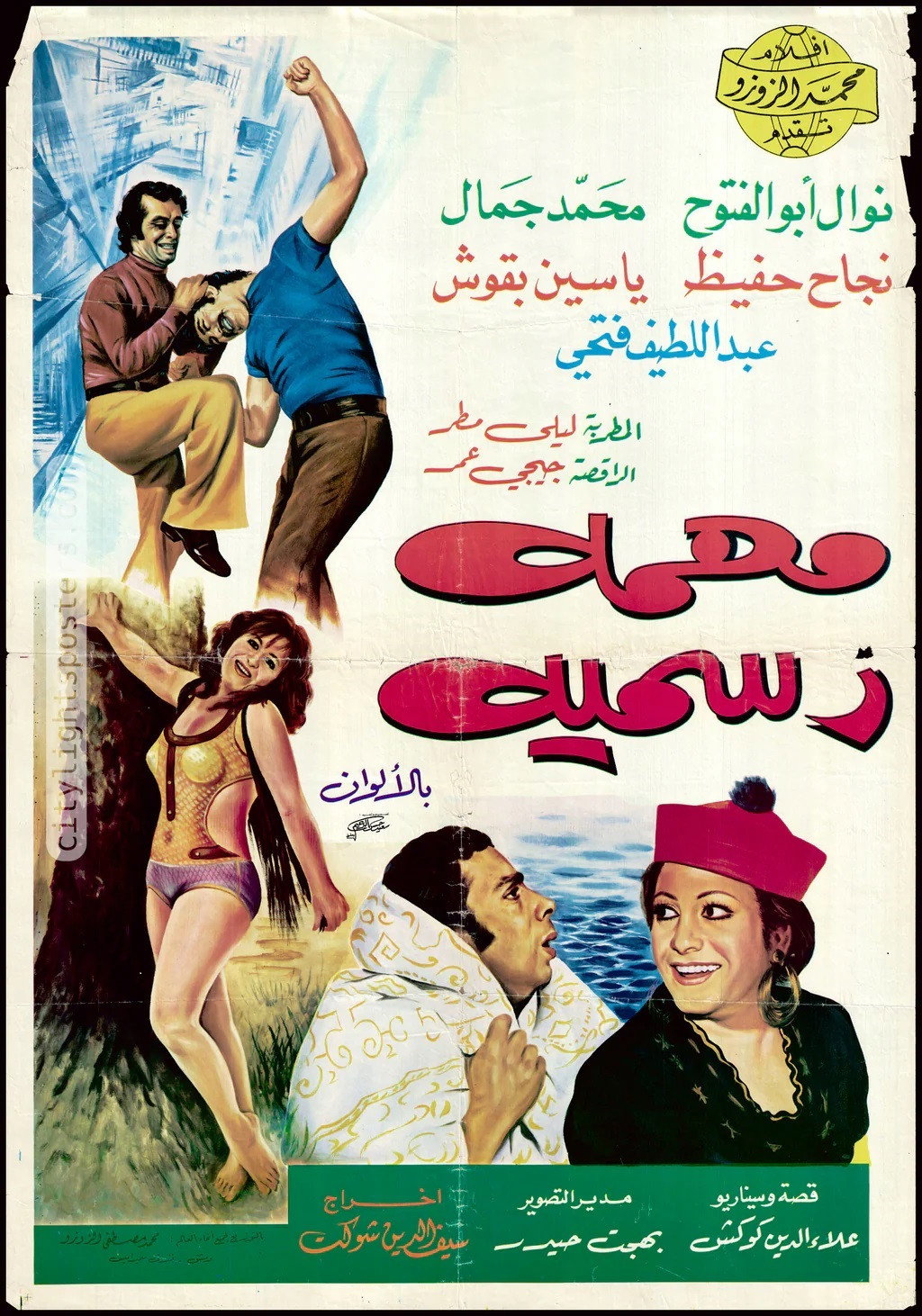 مهمة رسمية