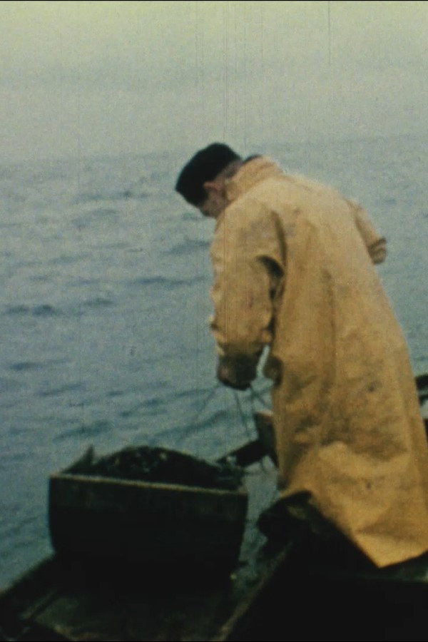 The Last Fisherman