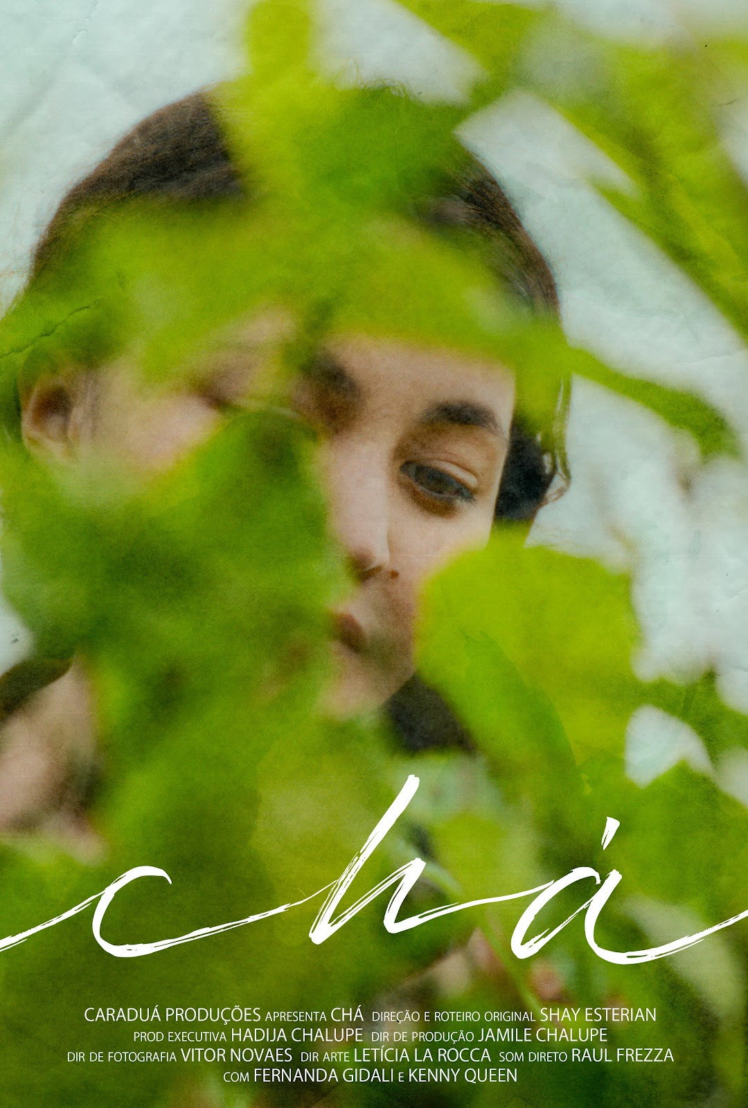 Chá