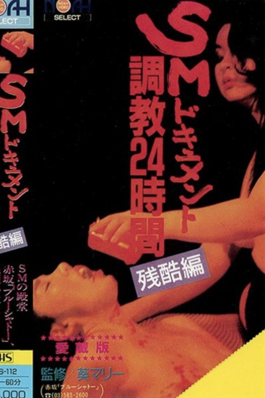調教24時間 残酷編