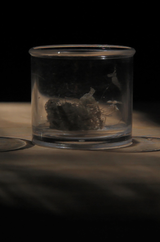 Dust Studies