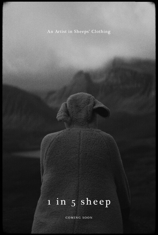 1 In 5 Sheep