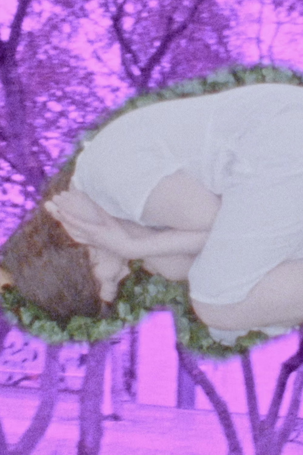 Not A Body