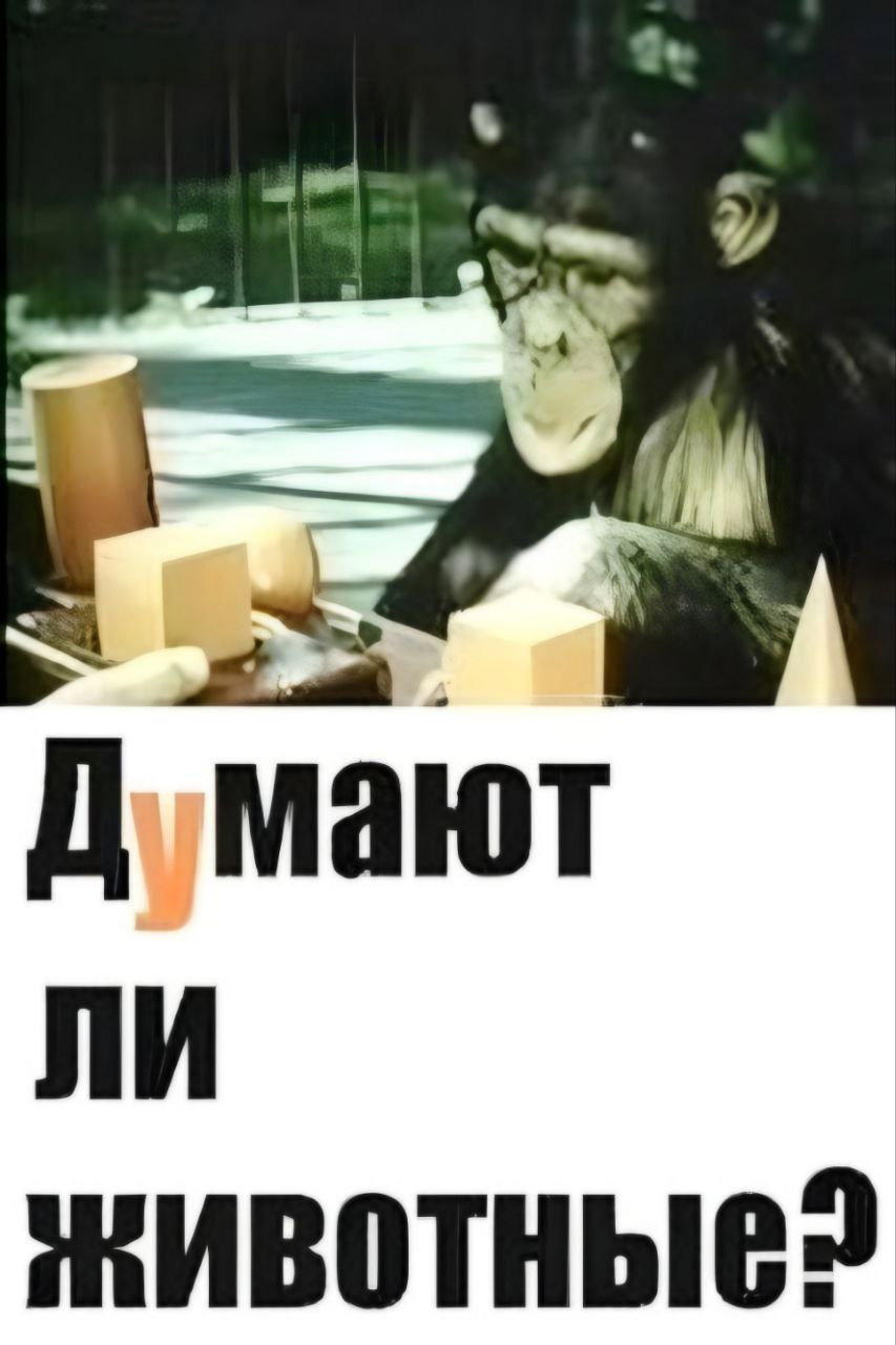 Думают ли животные?