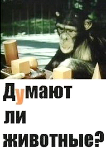 Чи думають тварини?