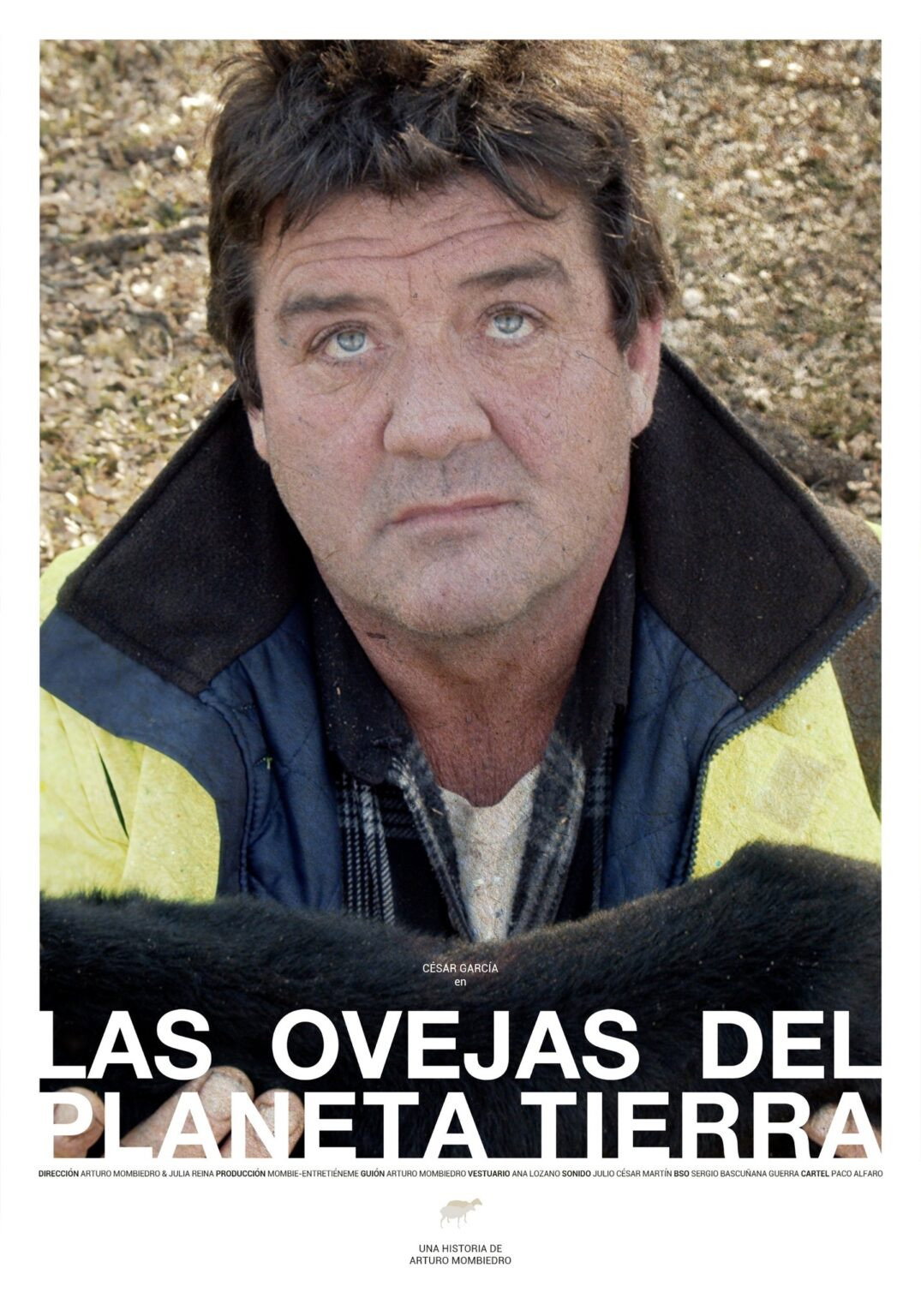 Las ovejas del planeta Tierra