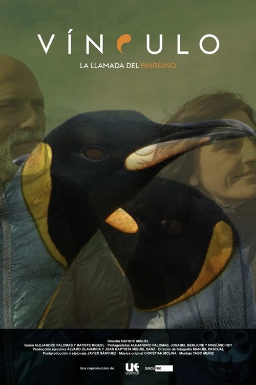Vínculo, la llamada del pingüino