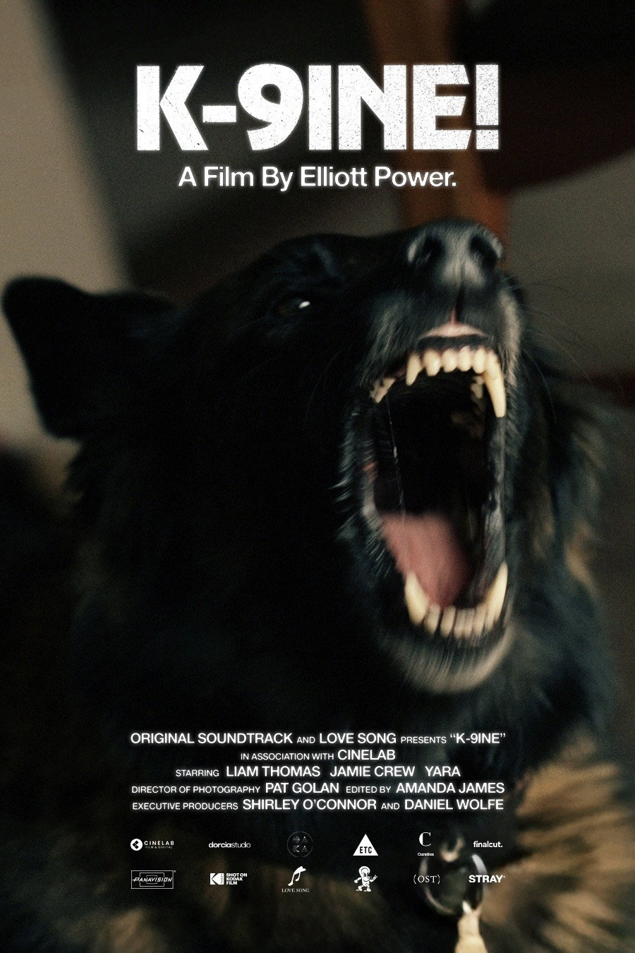 K-9INE!
