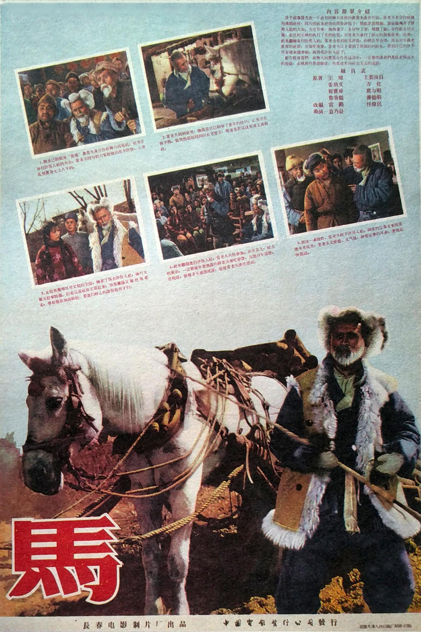 The Horse