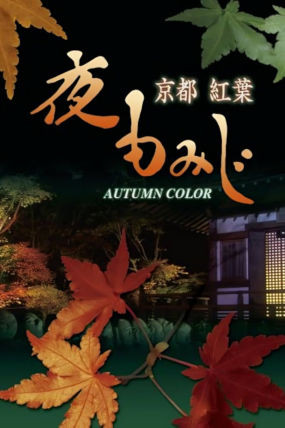 京都 紅葉 夜もみじ ブルーレイ