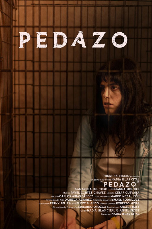 Pedazo