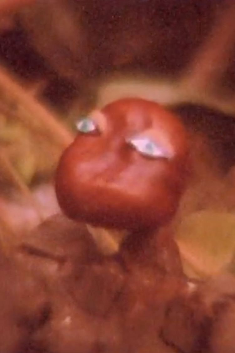 Conker