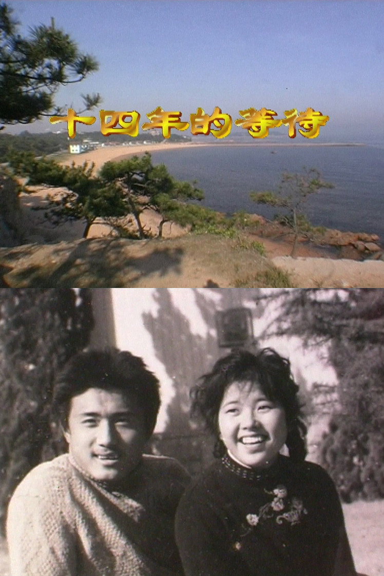 十四年的等待