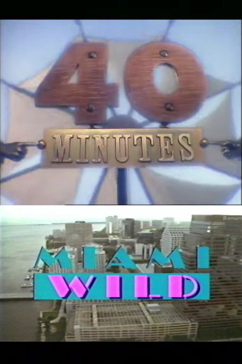 Miami Wild