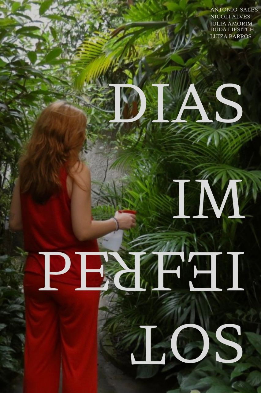 Dias Imperfeitos