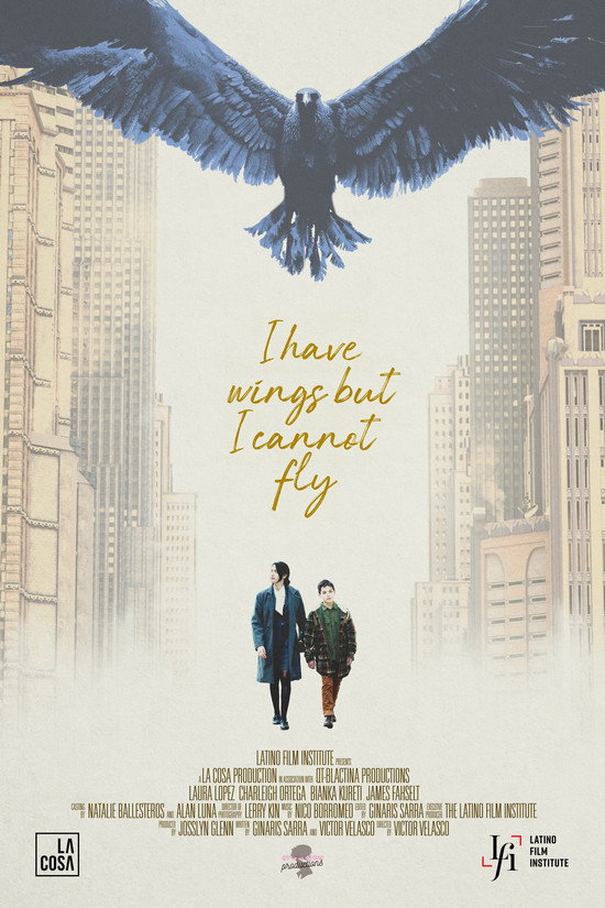 I Have Wings But I Cannot Fly