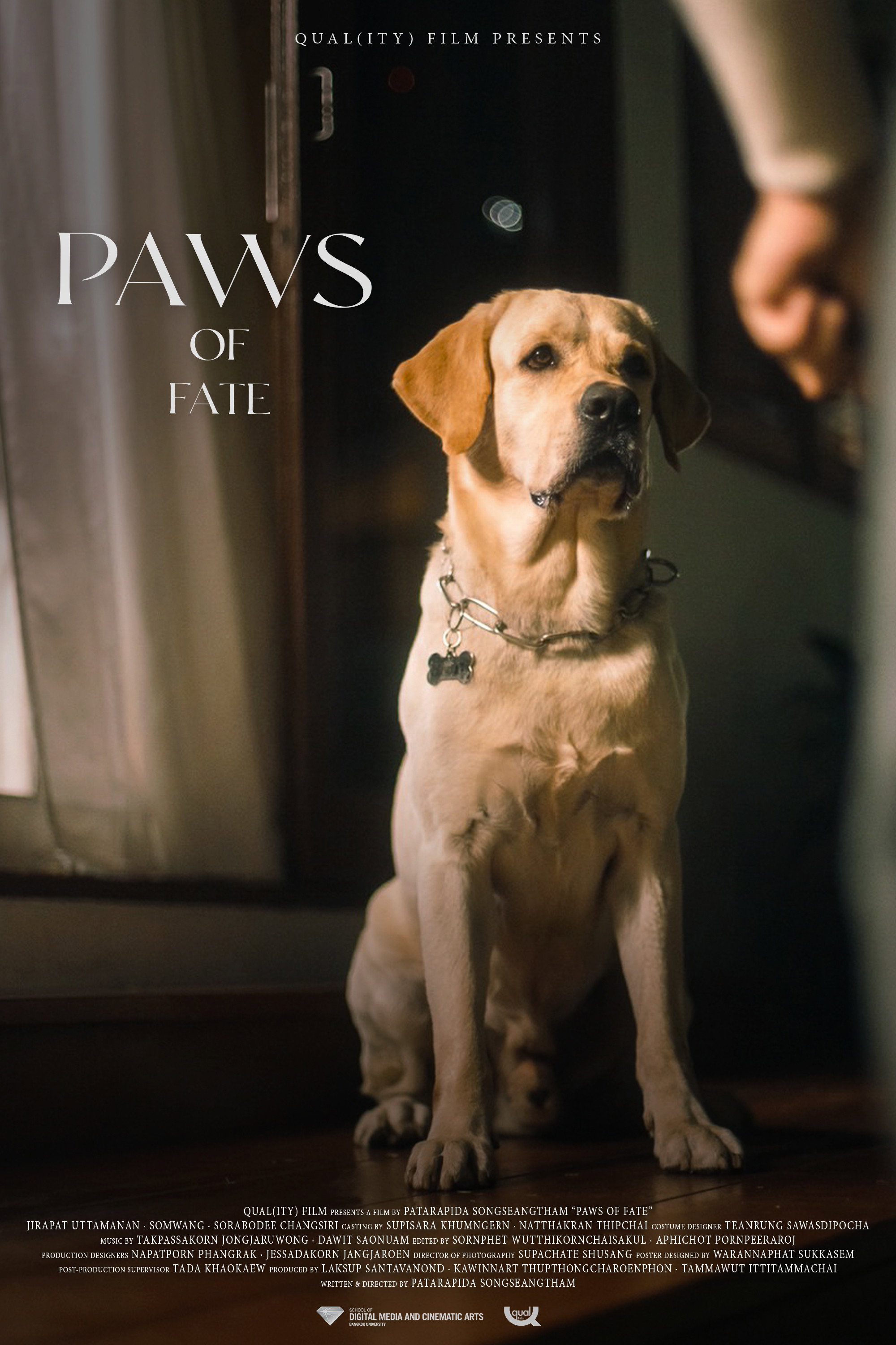Paws of Fate