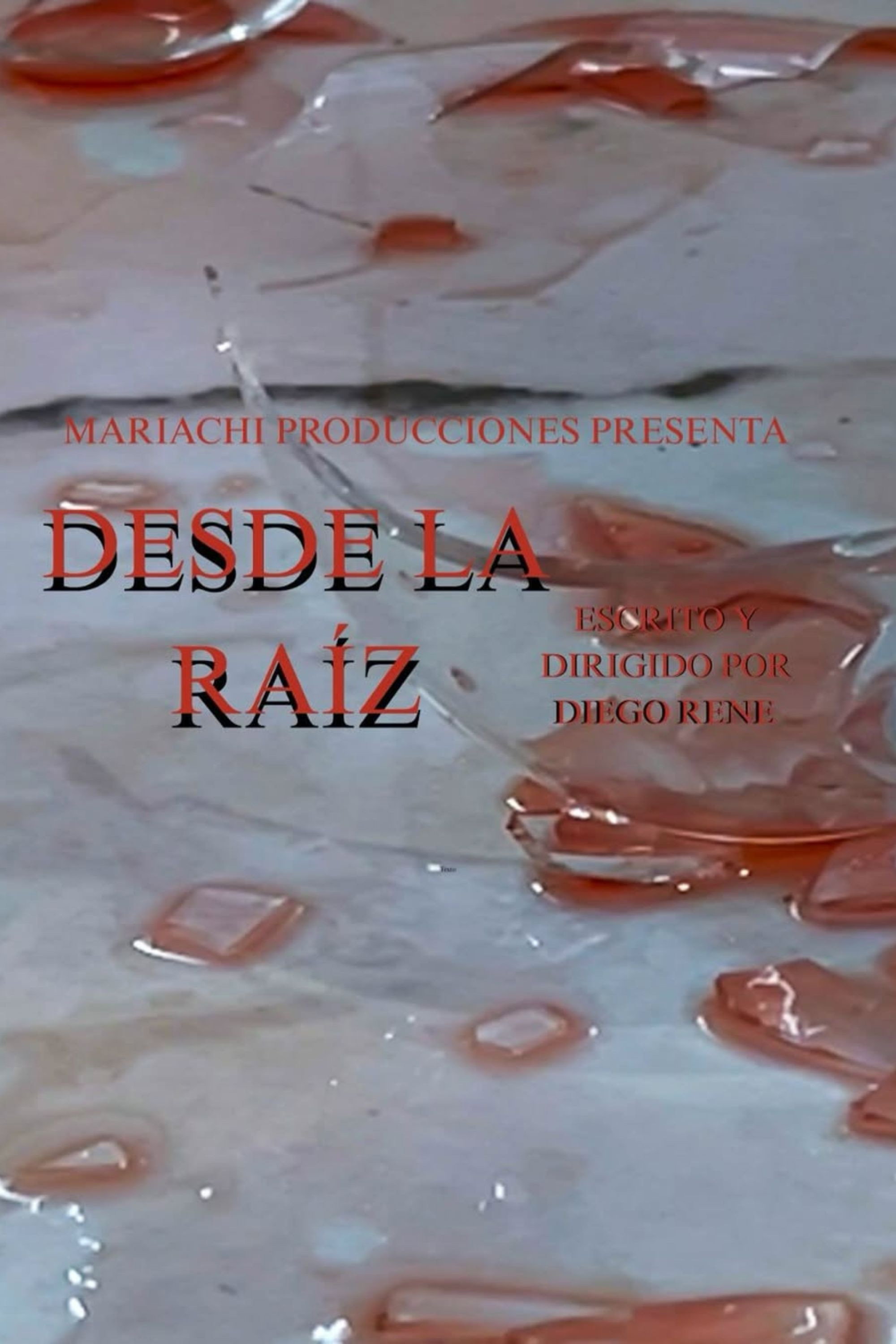 Desde la raíz